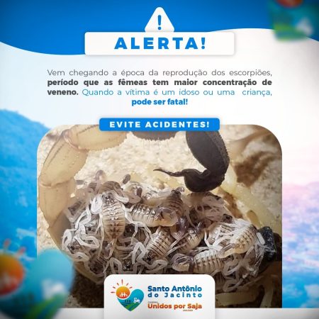 Alerta – Período de Reprodução dos Escorpiões